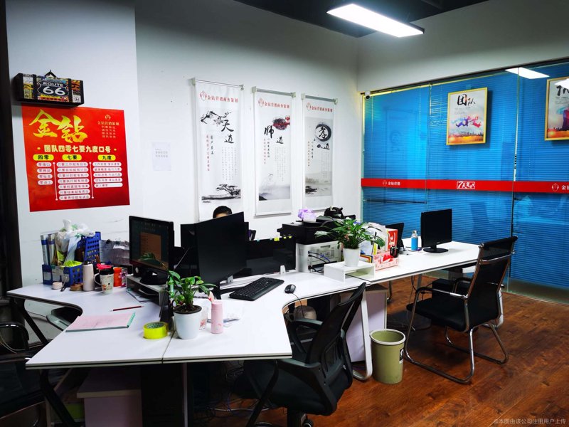 项目可行性报告:企业发展的灯塔