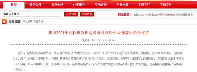 商务信息咨询:企业的隐形翅膀